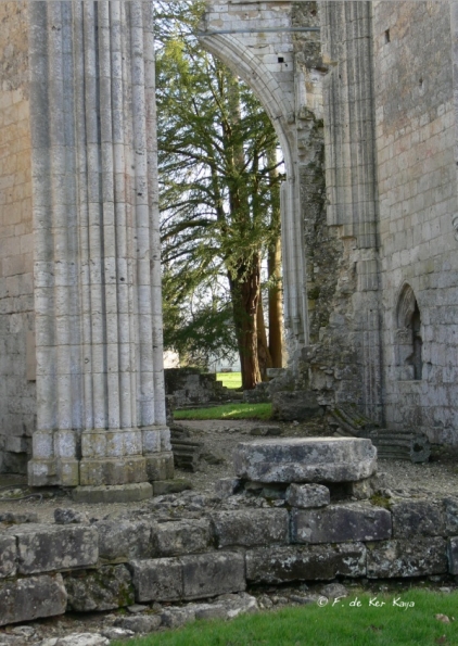 Jumièges (11) mars 2012
